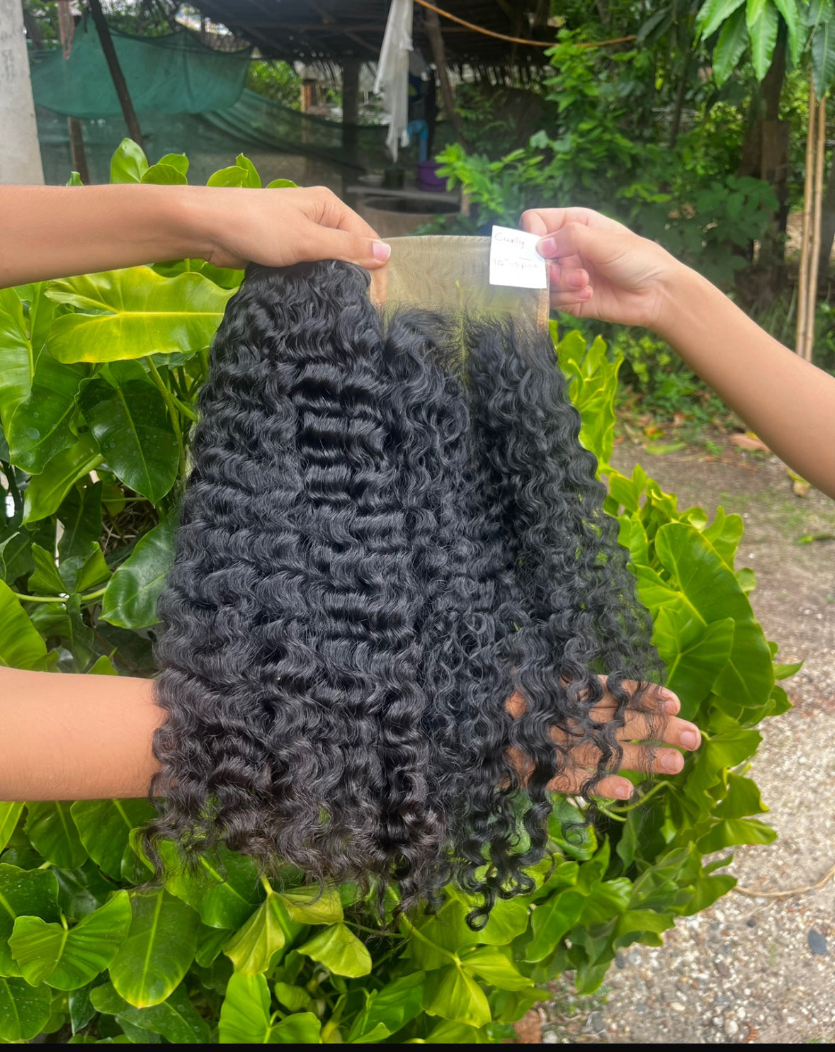Raw Burmese 5x5 Closure Deep Curly (22-24in)