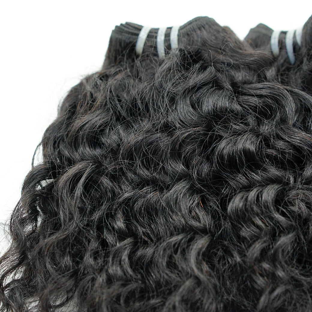 Raw Burmese Indian Curly (16in)