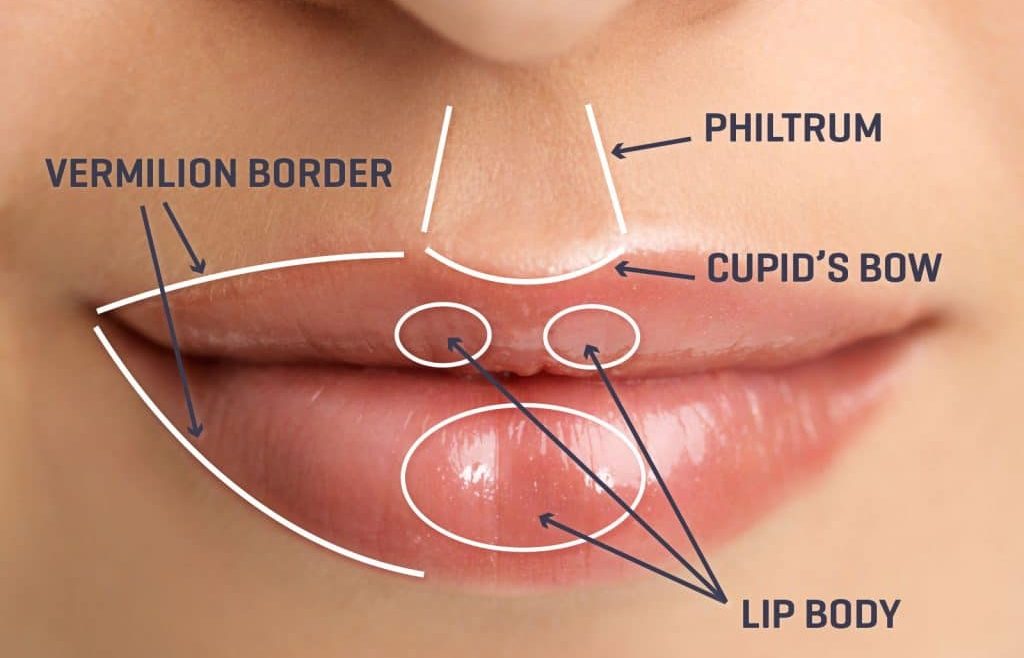 3-in-1 Houston Permanent Makeup Training: Microblading, Microshading and Lip Blush (2/9-2/10)