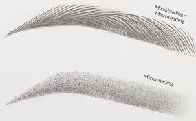 3-in-1 Houston Permanent Makeup Training: Microblading, Microshading and Lip Blush (2/9-2/10)